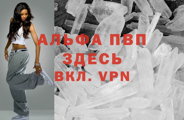 стаф Михайловск
