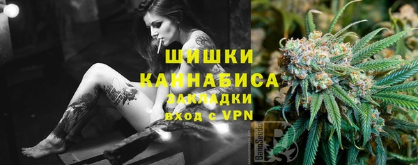 стаф Михайловск