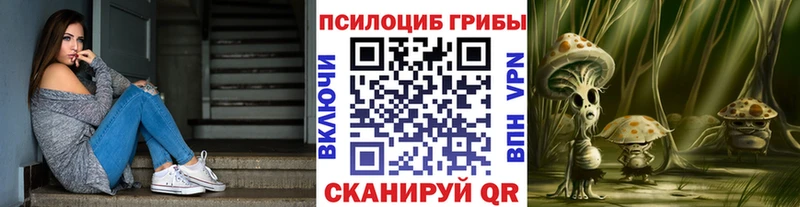 kraken ссылки  Ярцево  Псилоцибиновые грибы прущие грибы 