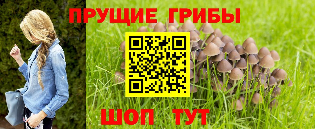 Ярцево  Псилоцибиновые грибы мицелий  Вход с VPN  хочу   Псилоцибиновые грибы MAGIC MUSHROOMS 