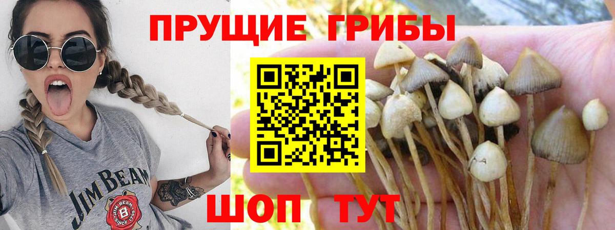 Галлюциногенные грибы мицелий Ярцево